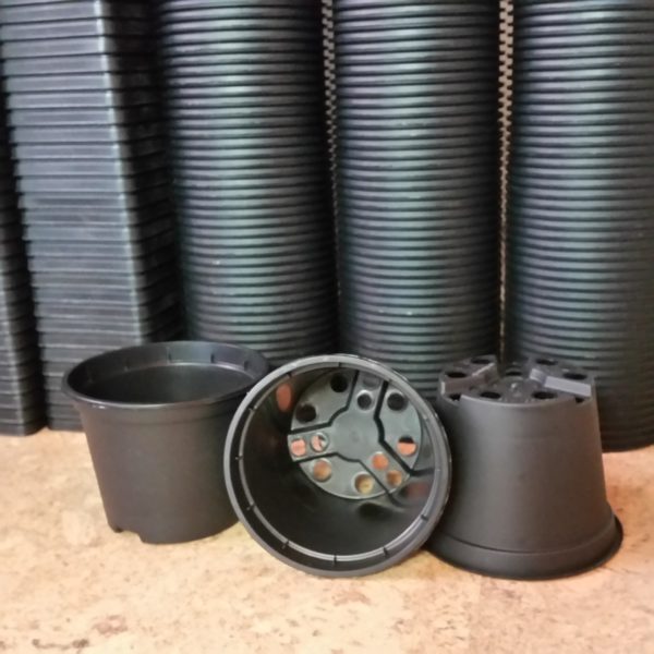Rundtöpfe 9 cm (30 Stück)