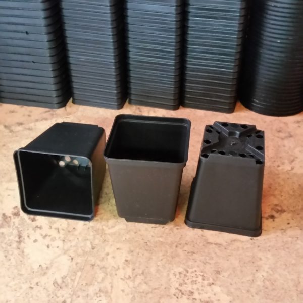 Vierkanttöpfe 7x7x7,5cm (10 Stück)