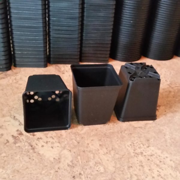 Vierkanttöpfe 7x7x7,5cm (10 Stück) – Bild 2