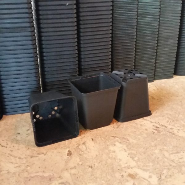 Vierkanttöpfe 9x9x9,5 cm (20 Stück)
