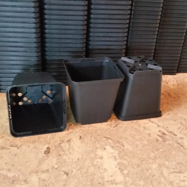 Vierkanttöpfe 9x9x9,5 cm (20 Stück) – Bild 2